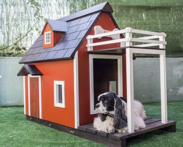 What size kennel for my dog?