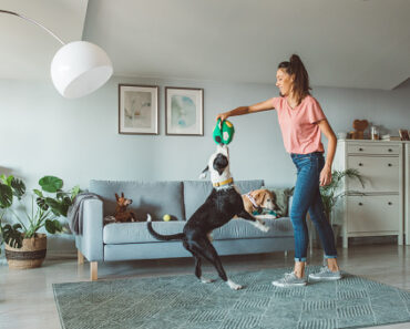 5 reasons to hire a dog sitter in your absence