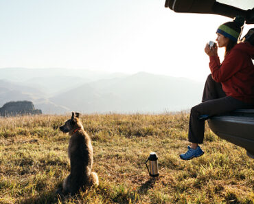 5 essential tips for going on vacation with your dog