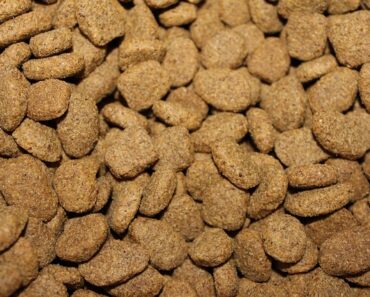 What are the carbohydrates in dog and cat food?