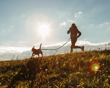 Canicross : 3 good reasons to run with your dog!