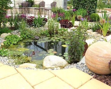 Prepare the winterization of your garden pond in the fall